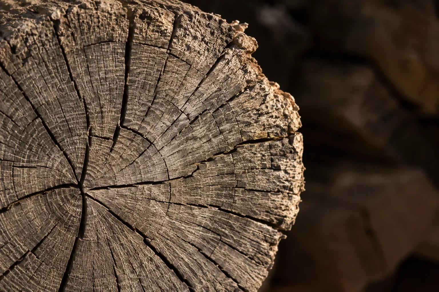 Comment reconnaître un bois vraiment sec