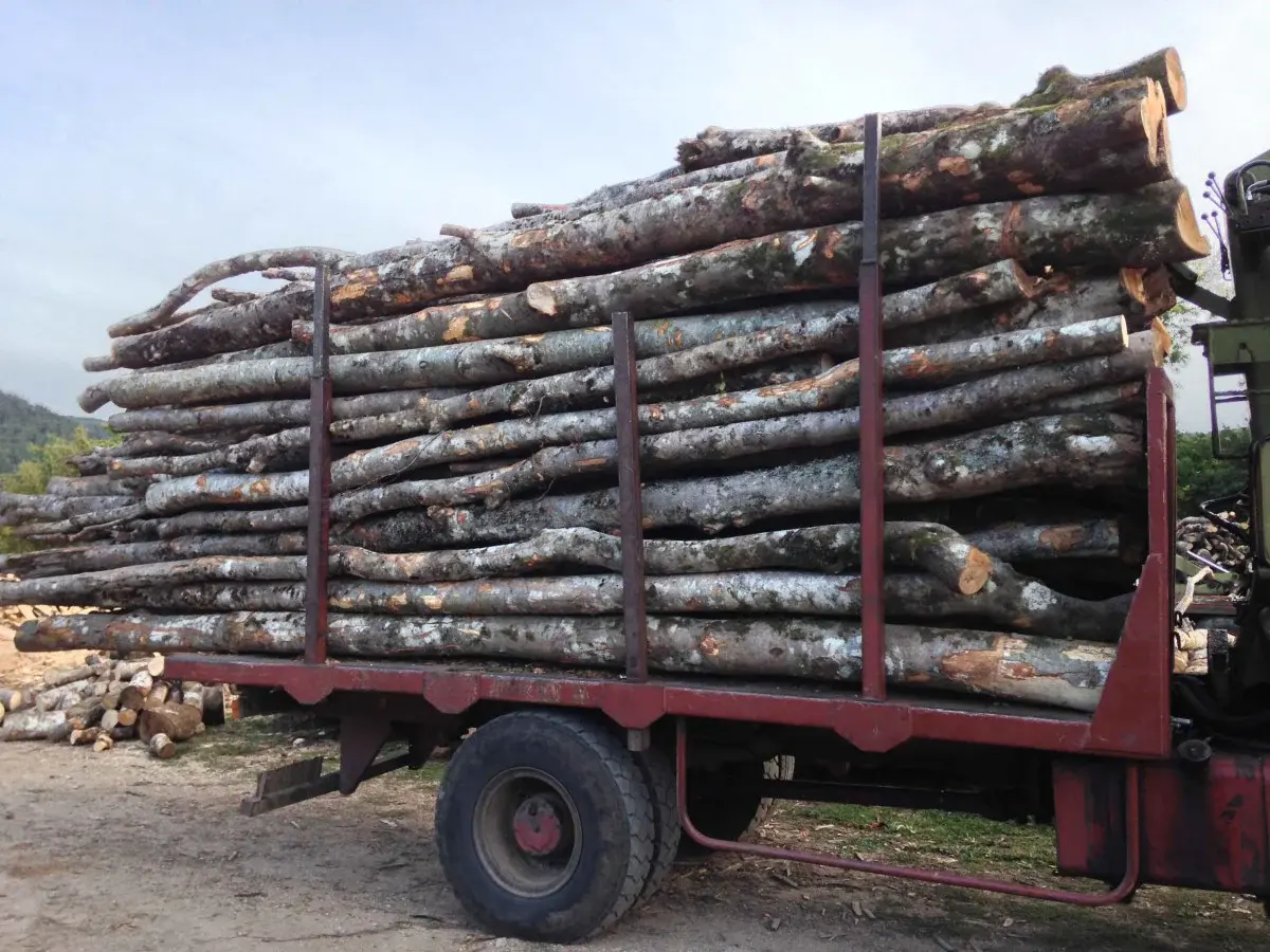 Bois long bord de route – 30 stères