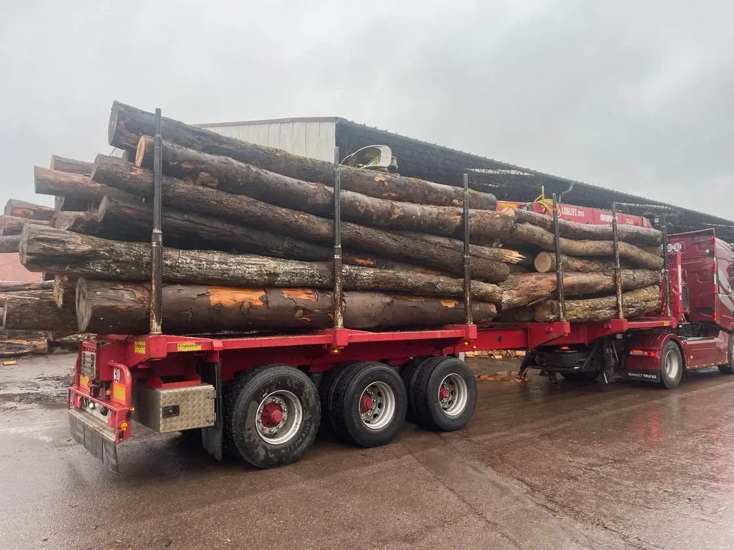 Bois long bord de route – 50 stères